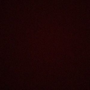 Meet your Posher, Mia